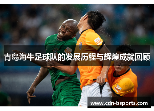 青岛海牛足球队的发展历程与辉煌成就回顾