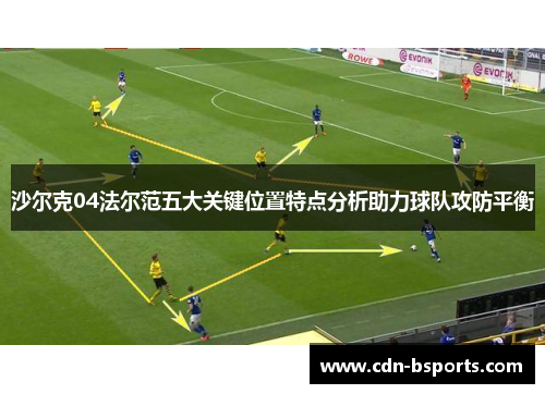 沙尔克04法尔范五大关键位置特点分析助力球队攻防平衡