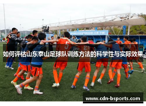 如何评估山东泰山足球队训练方法的科学性与实际效果