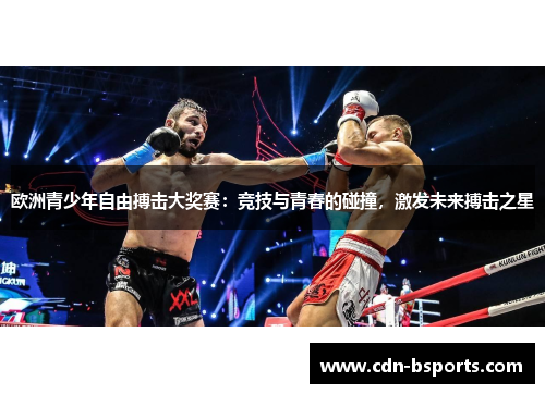 欧洲青少年自由搏击大奖赛：竞技与青春的碰撞，激发未来搏击之星